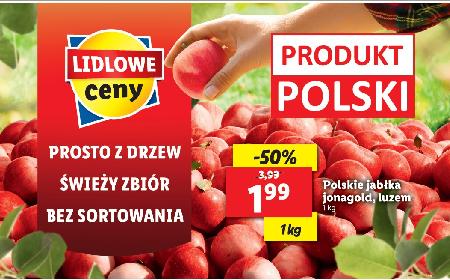 Jabłka prosto z drzew od polskich sadowników ponownie na Ryneczku Lidla