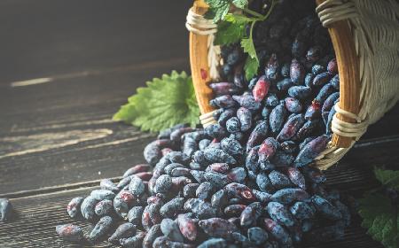 Dżem z jagody kamczackiej: przepis na domowe przetwory