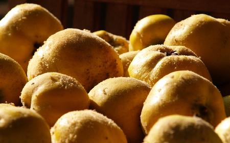 Polskie odpowiedniki superfood - modnego i wartościowego jedzenia